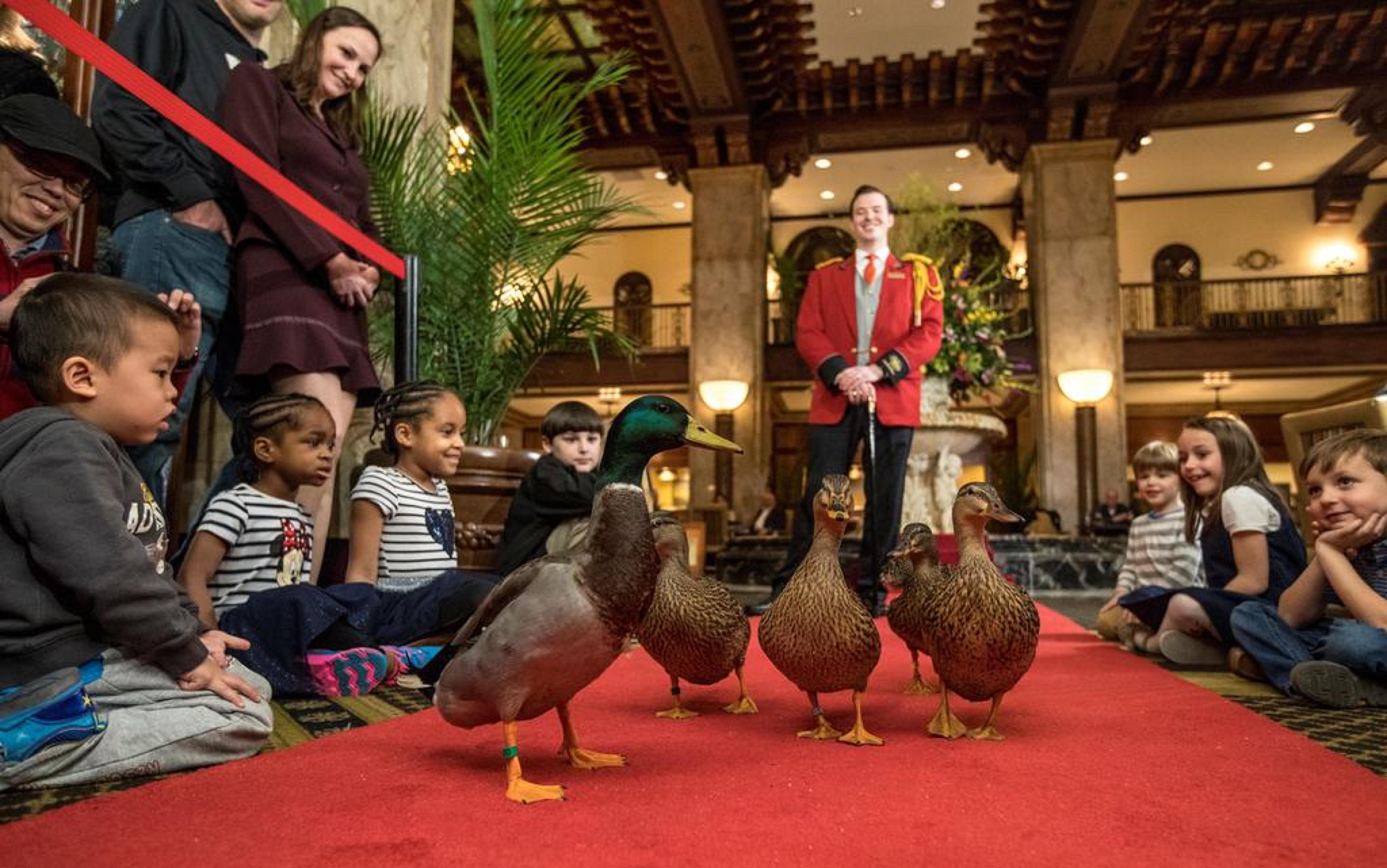 Peabody Memphis Hotell Eksteriør bilde
